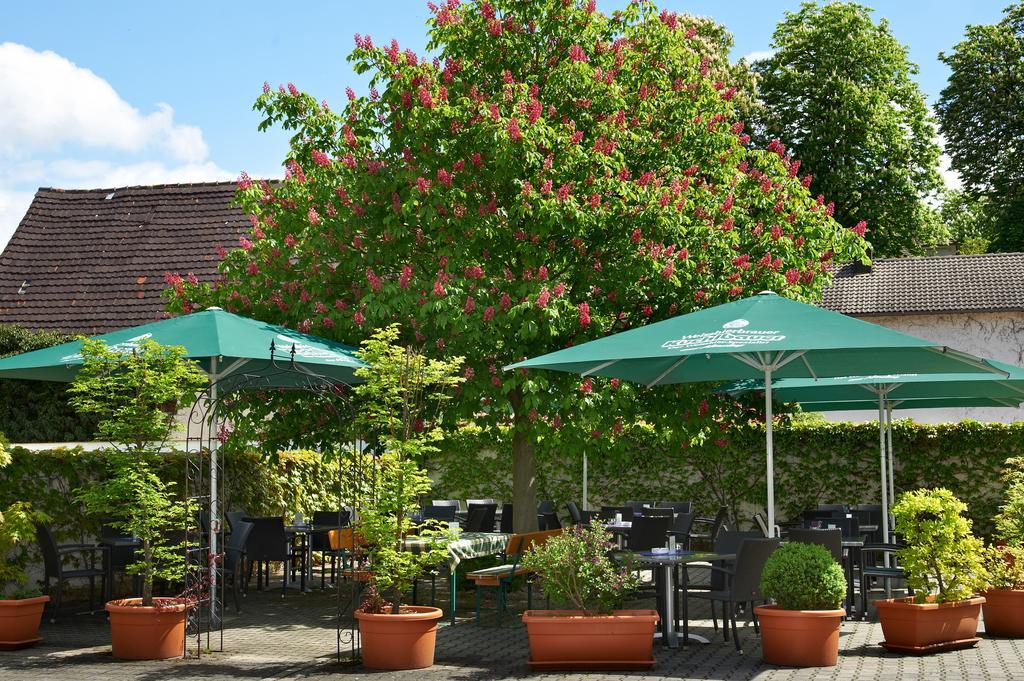Gasthof Gigl Neustadt an der Donau Zewnętrze zdjęcie